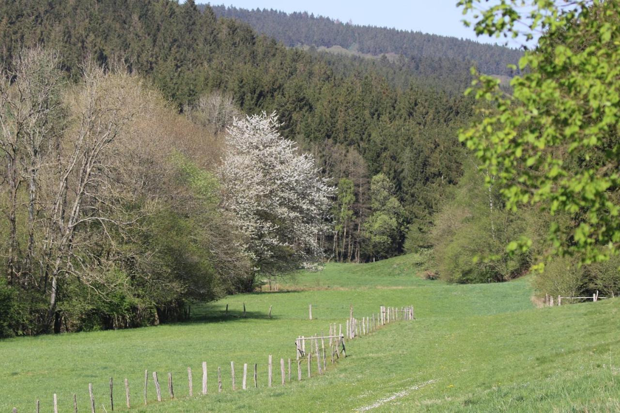 Le Clos Du Cerf - Le Sous-Bois Stoumont Esterno foto