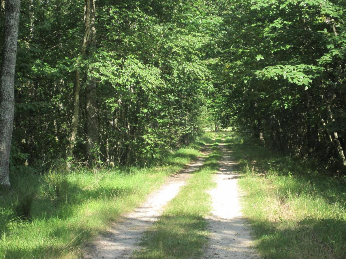 Le Clos Du Cerf - Le Sous-Bois Stoumont Esterno foto