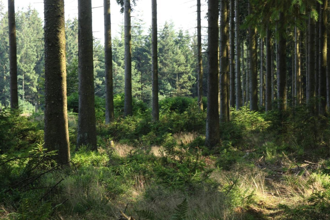 Le Clos Du Cerf - Le Sous-Bois Stoumont Esterno foto