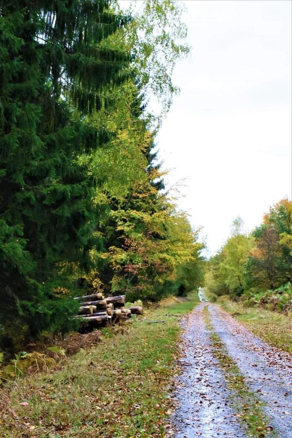 Le Clos Du Cerf - Le Sous-Bois Stoumont Esterno foto