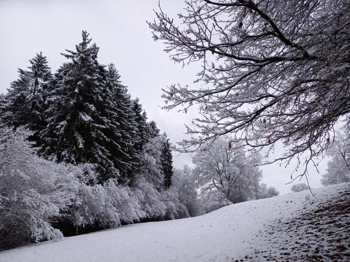 Le Clos Du Cerf - Le Sous-Bois Stoumont Esterno foto