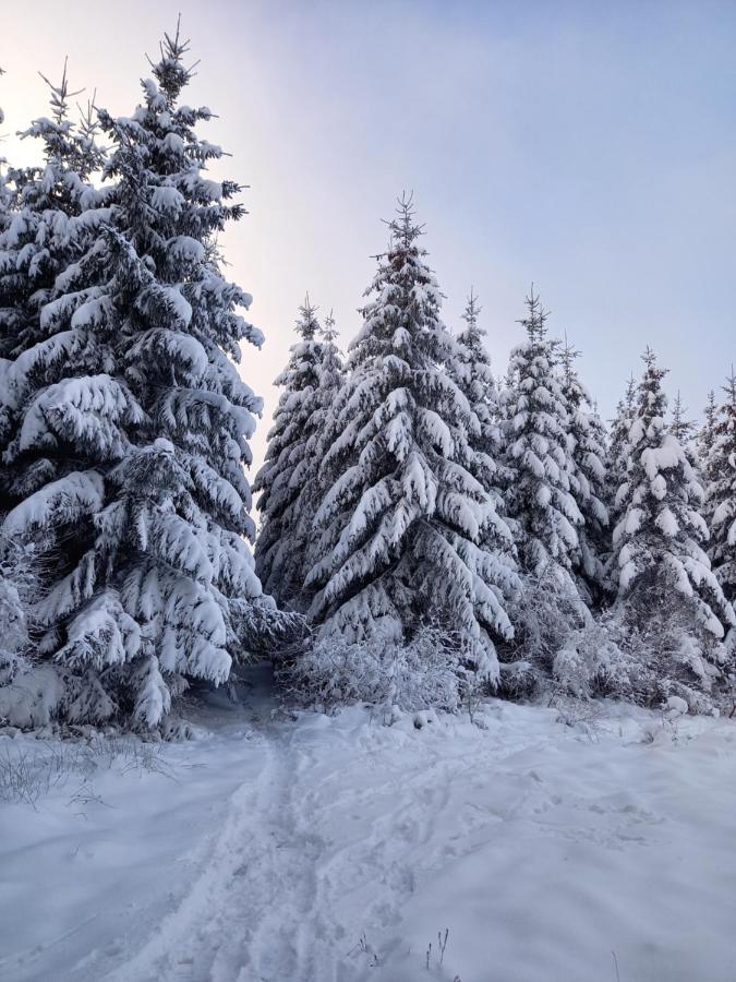 Le Clos Du Cerf - Le Sous-Bois Stoumont Esterno foto
